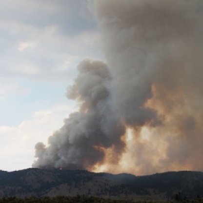 A controlled burn on the way into Yellowstone