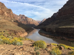gr canyon iphone pics (2)