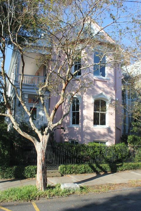 Nov 2017 Charleston (36)